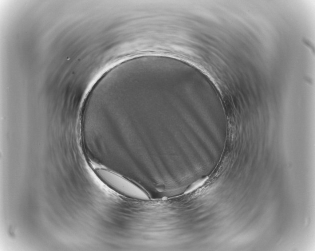 X0000093741531200710301054