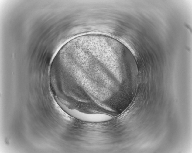 X0000093741532200710301054