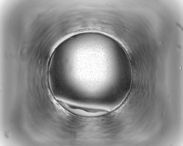 X0000093741534200710301054