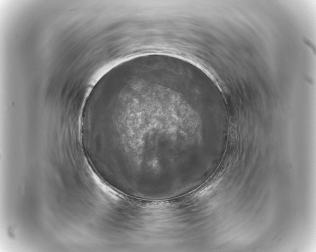 X0000093741535200710301054