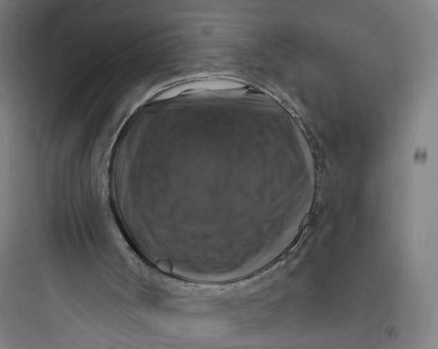 X0000093740002200711061035