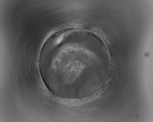 X0000093740003200711061035