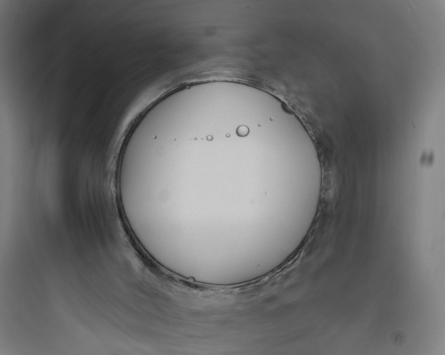 X0000093740004200711061035