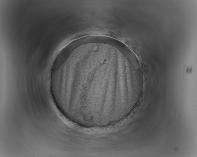 X0000093740005200711061035