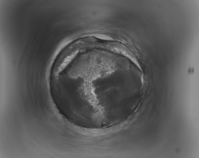 X0000093740006200711061035