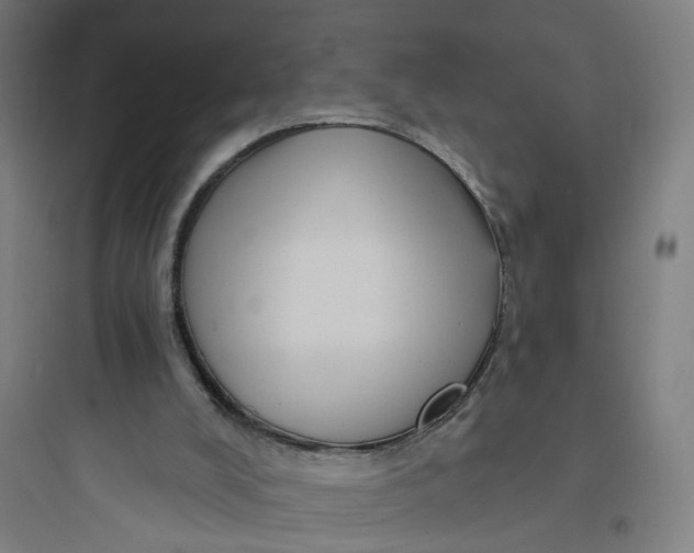 X0000093740008200711061035