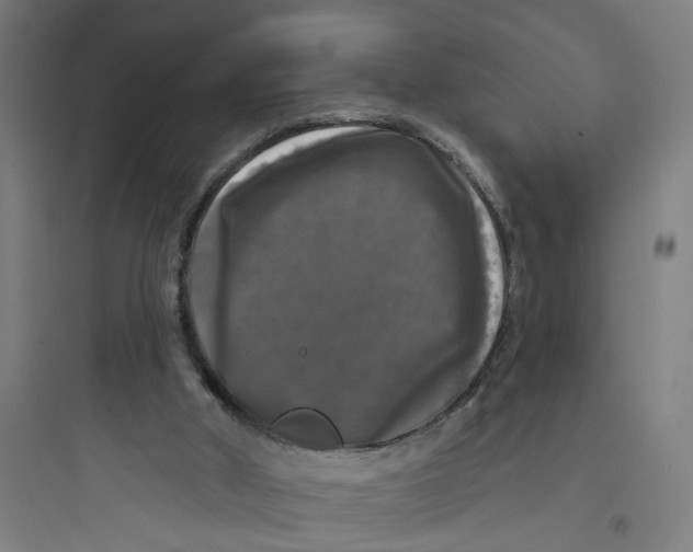 X0000093740010200711061035