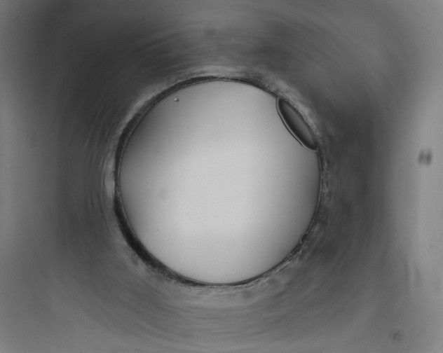 X0000093740011200711061035