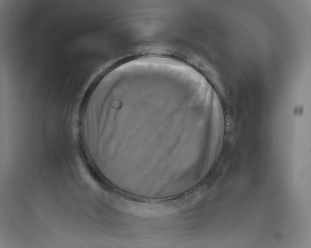 X0000093740012200711061035