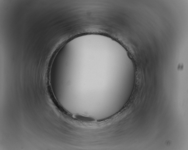 X0000093740015200711061035