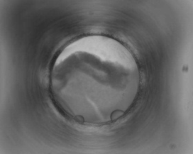 X0000093740016200711061035