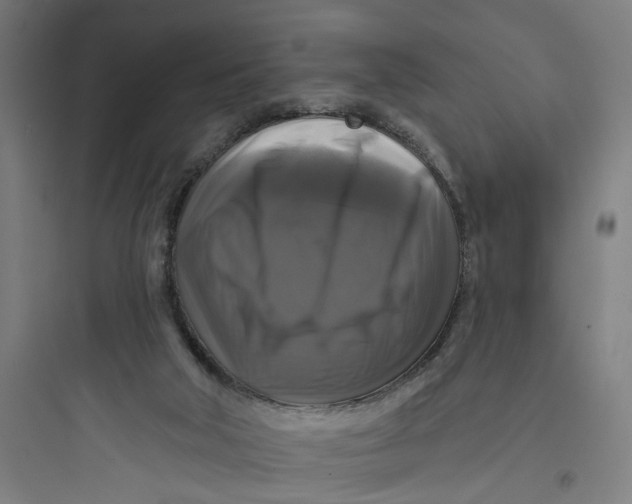 X0000093740018200711061035