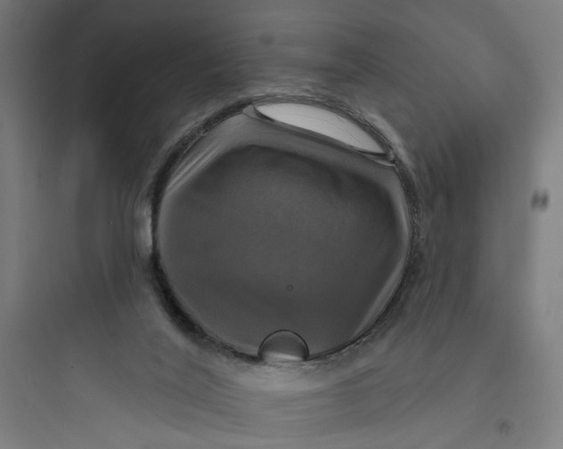 X0000093740020200711061035