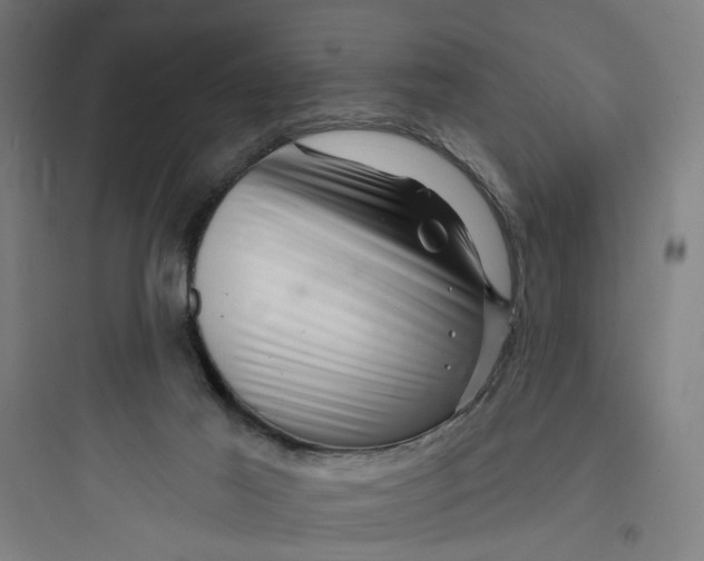 X0000093740021200711061035