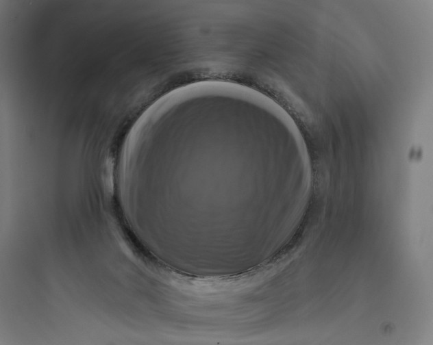 X0000093740022200711061035