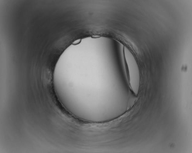 X0000093740025200711061035