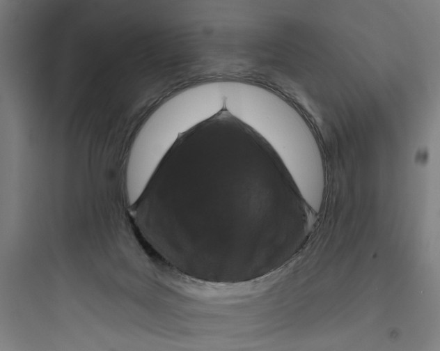 X0000093740027200711061035