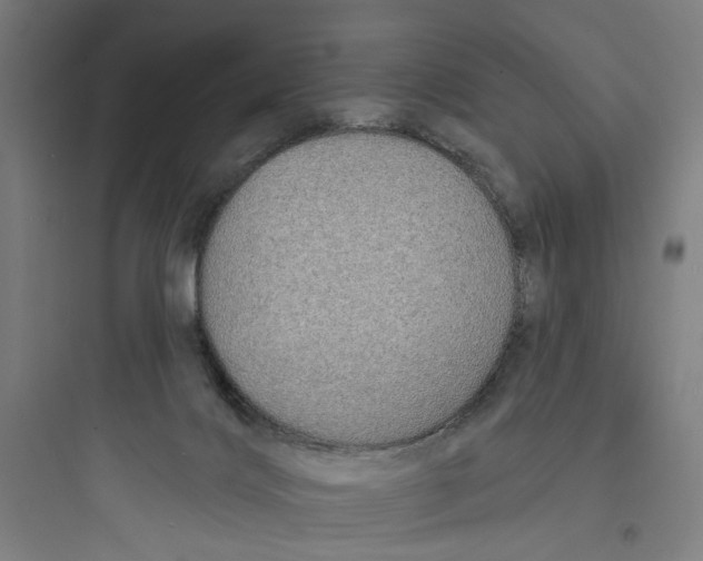 X0000093740028200711061035