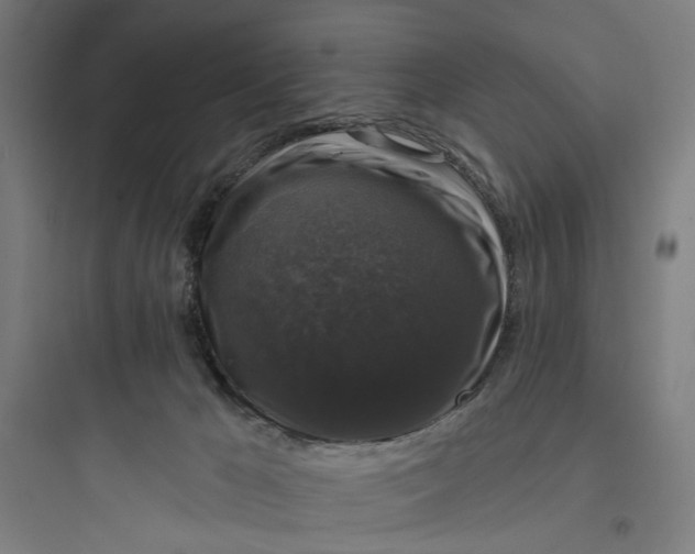 X0000093740029200711061035