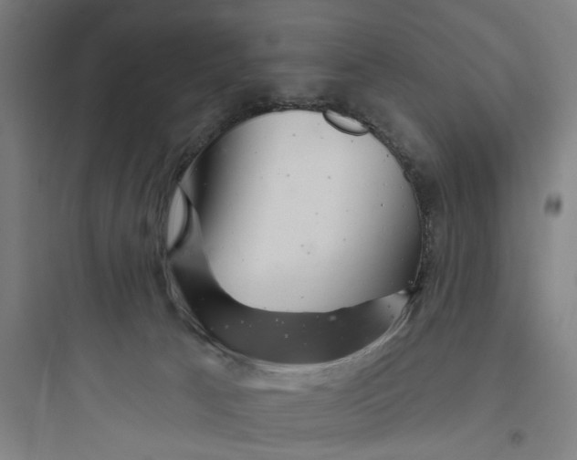 X0000093740033200711061035