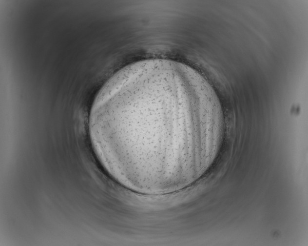 X0000093740038200711061035