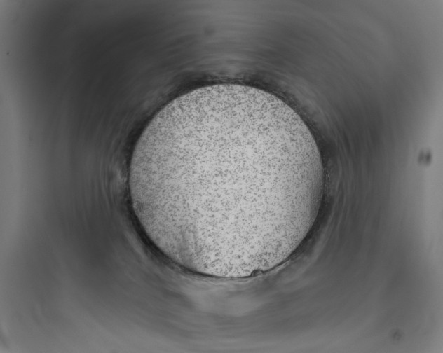 X0000093740040200711061035