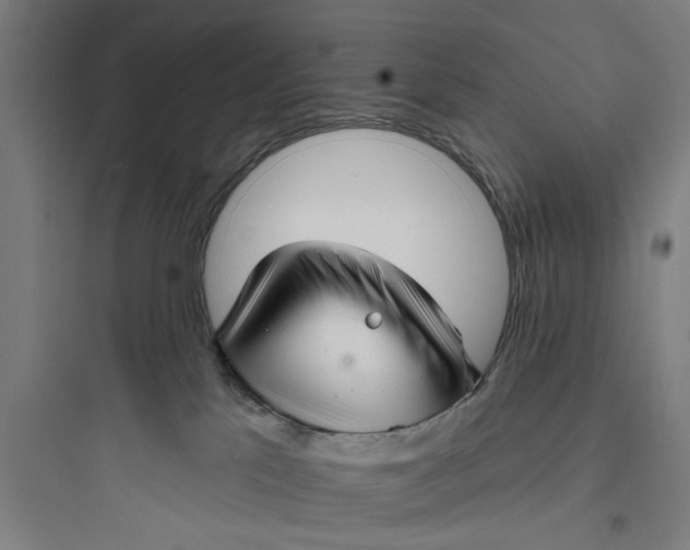 X0000093740041200711061035