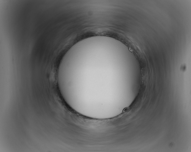 X0000093740044200711061035