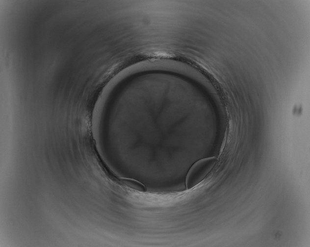 X0000093740048200711061035