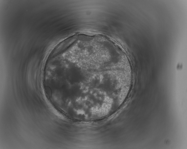 X0000093740049200711061034