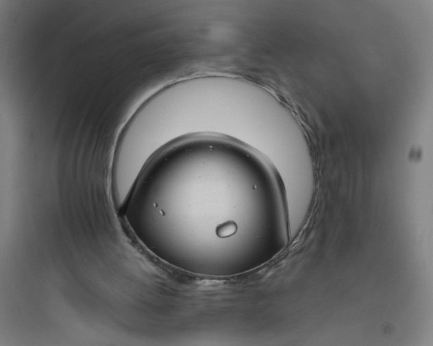 X0000093740052200711061034