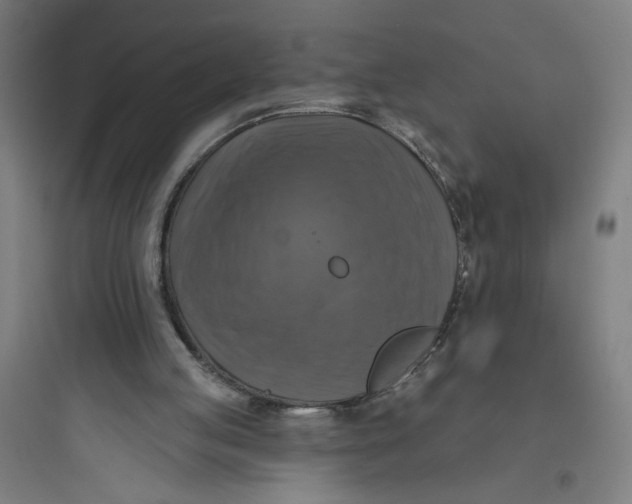 X0000093740053200711061034