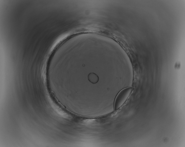 X0000093740054200711061034