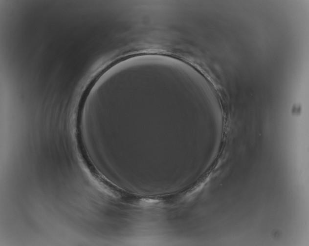 X0000093740055200711061034