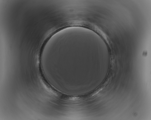 X0000093740059200711061034