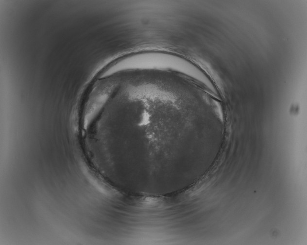 X0000093740060200711061034