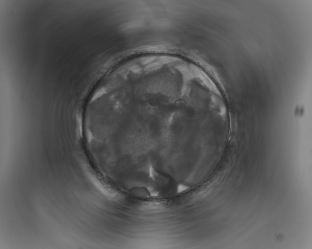 X0000093740061200711061034