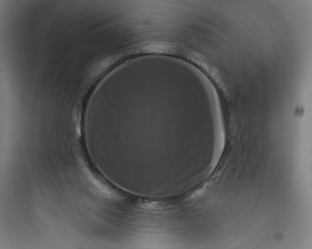 X0000093740062200711061034