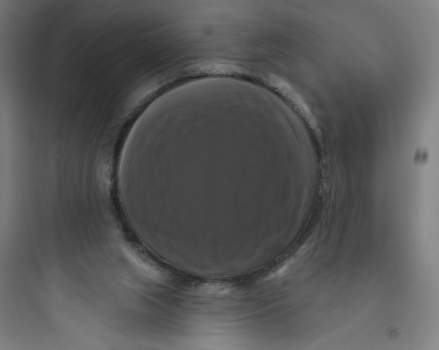 X0000093740063200711061034