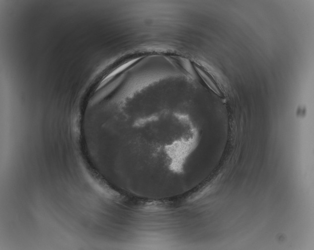 X0000093740064200711061034