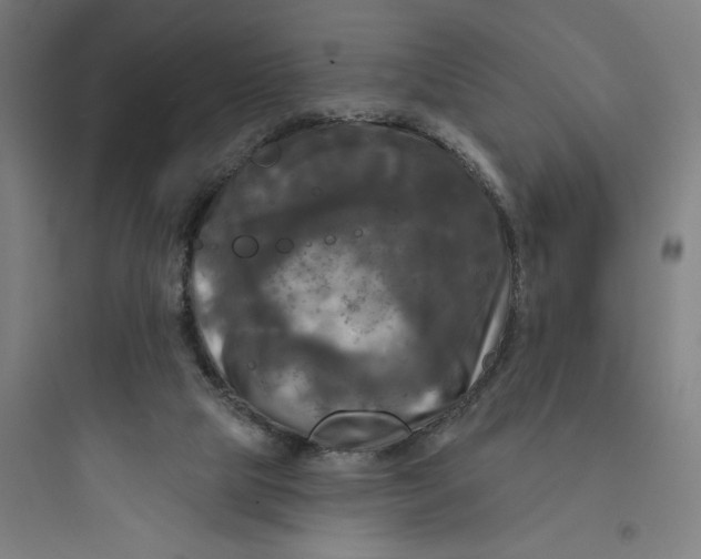 X0000093740065200711061034