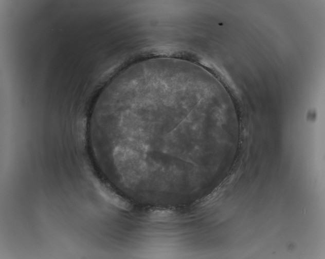 X0000093740066200711061034