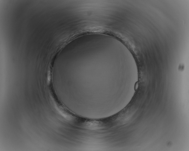 X0000093740069200711061034