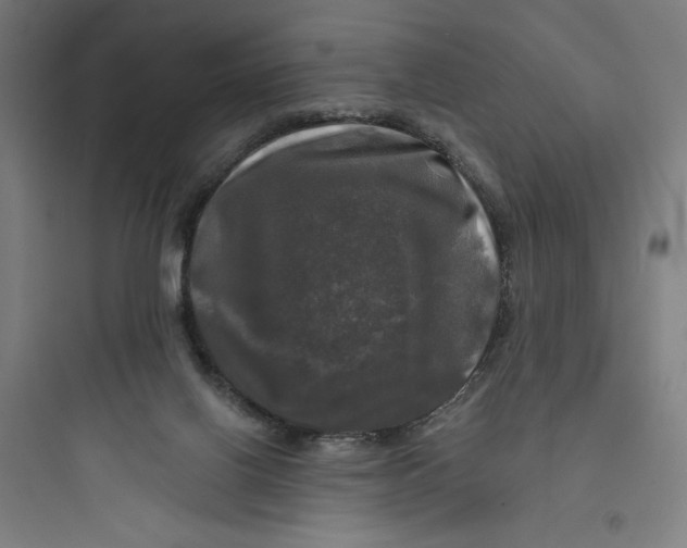 X0000093740070200711061034