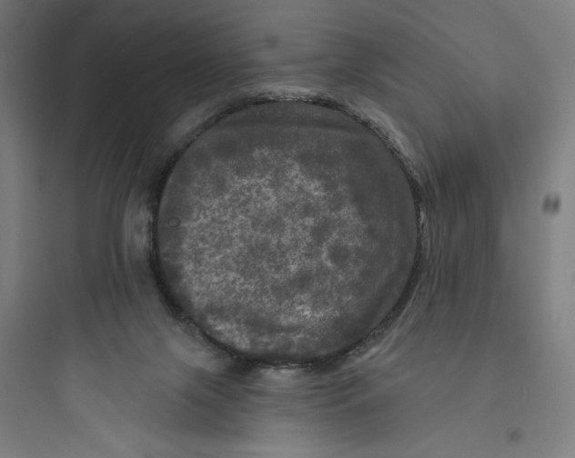 X0000093740071200711061034