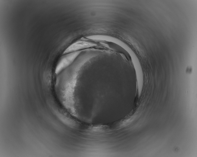 X0000093740072200711061034