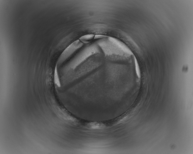 X0000093740073200711061034