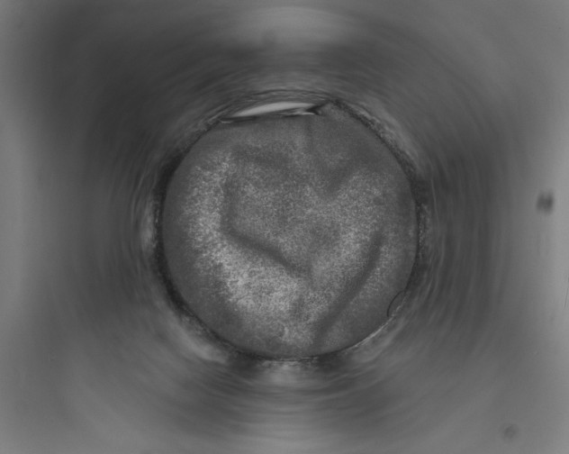 X0000093740074200711061034