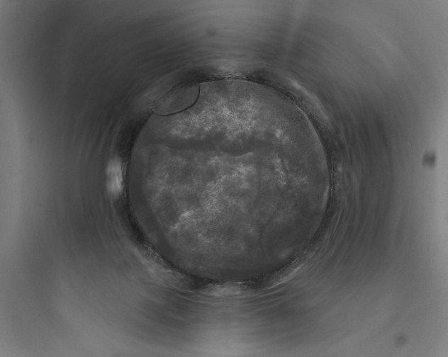 X0000093740075200711061034