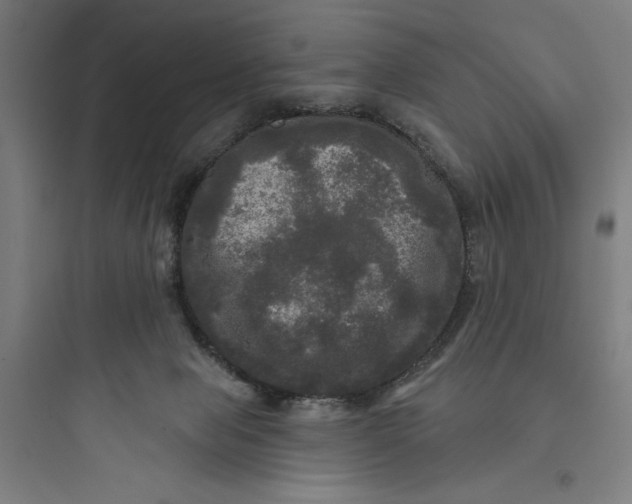 X0000093740077200711061034